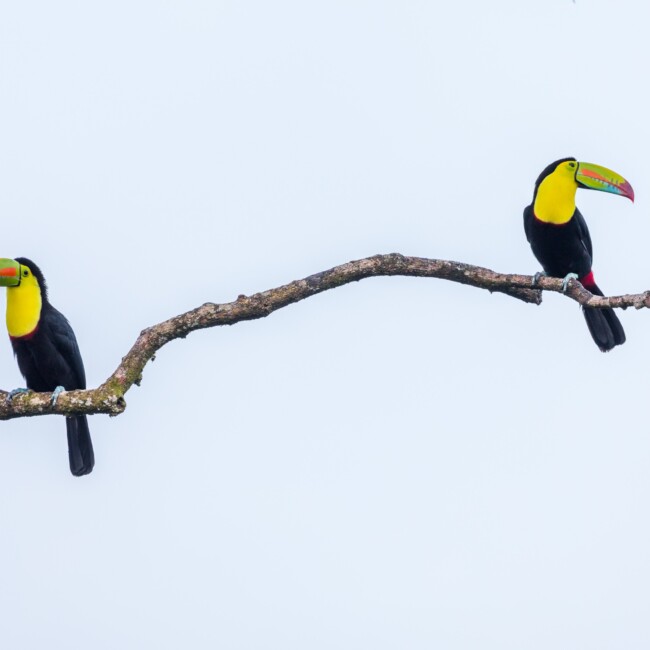 Générer des leads qualifiés ou en quantité ? Faites les deux