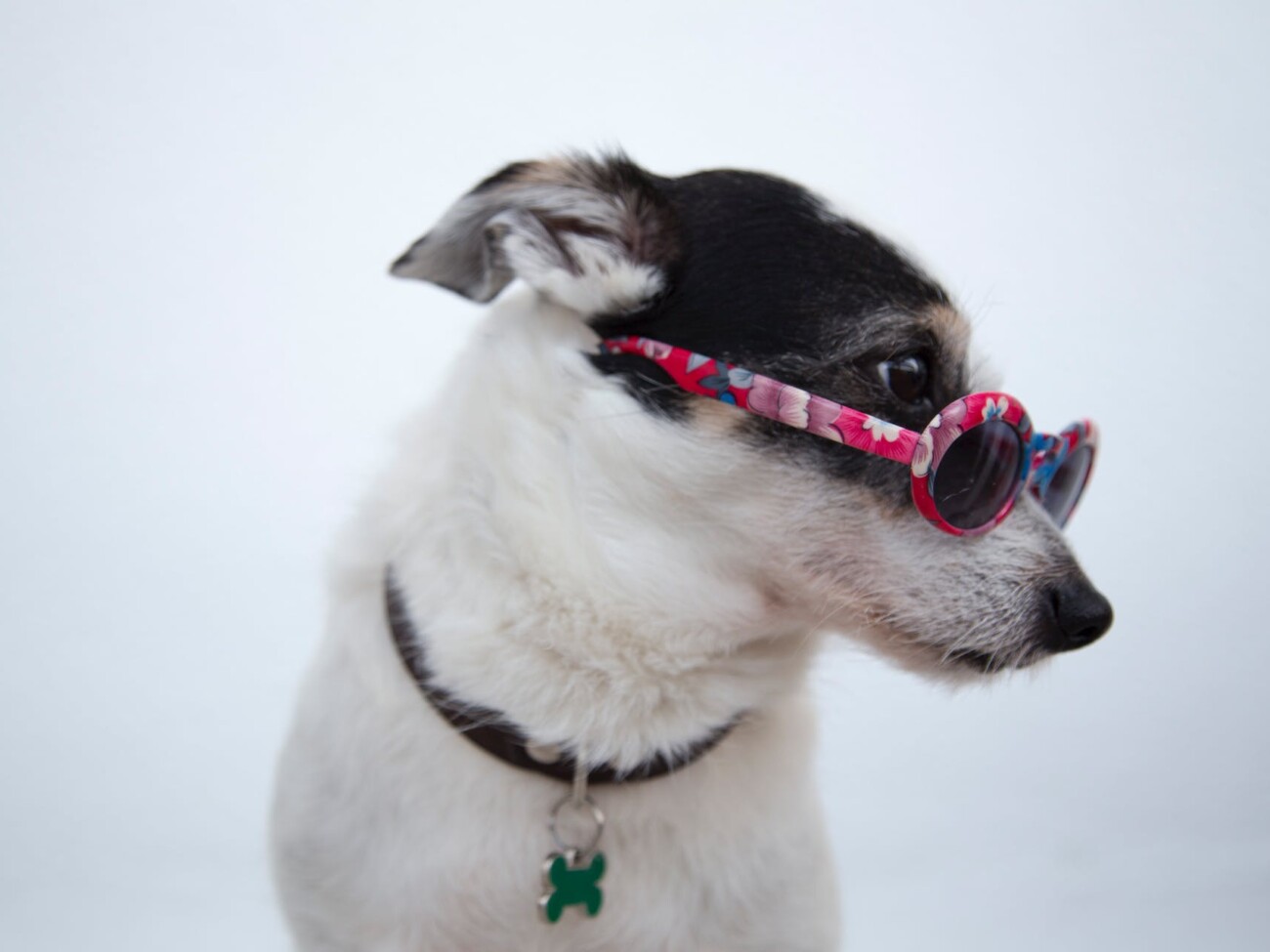 Longueur d'un contenu : quels impacts sur la visibilité